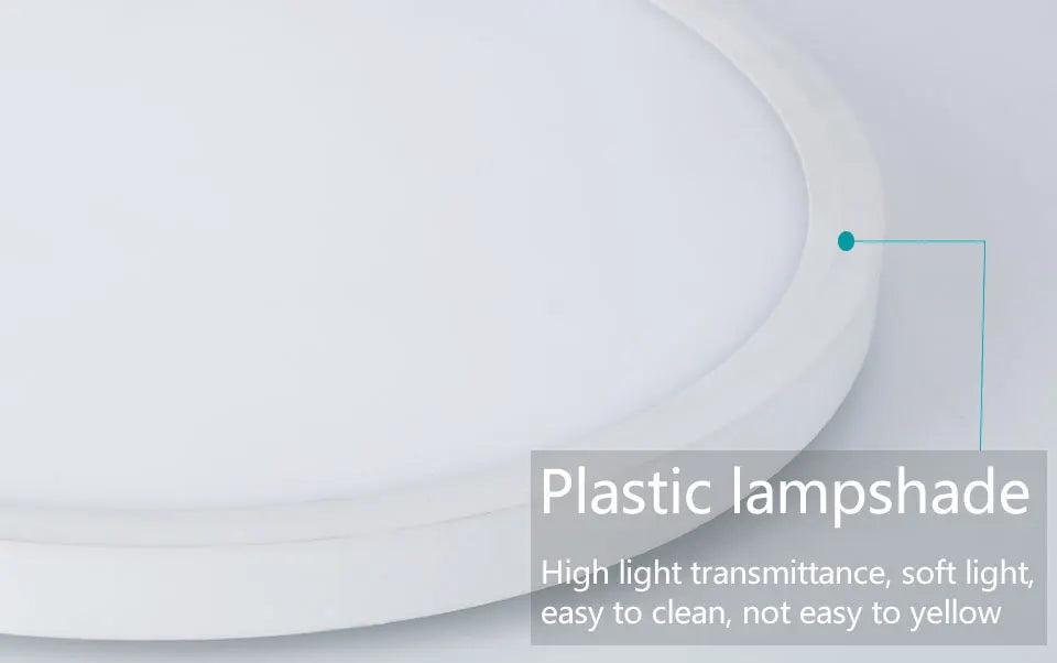 Voice Control Alexa Google Smart Ceiling Lamp