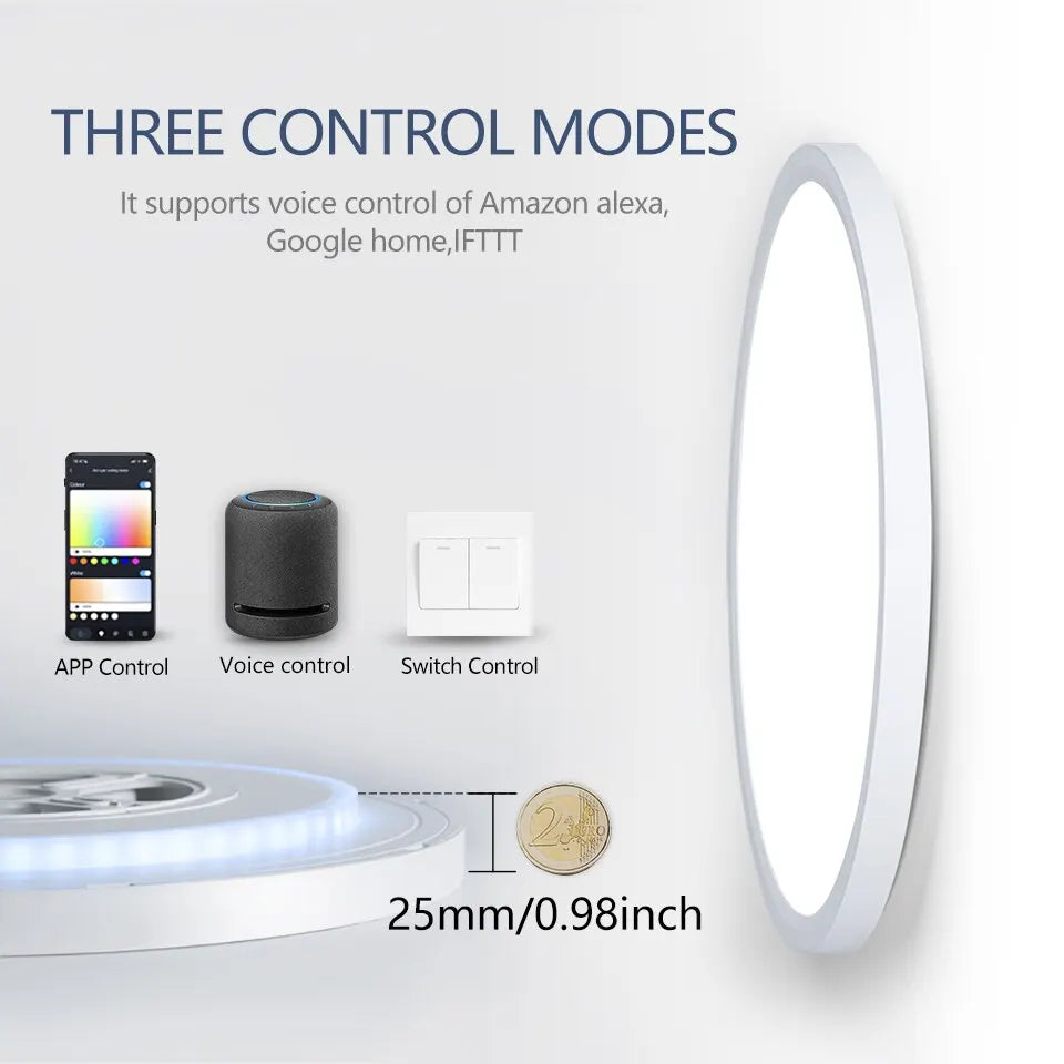 Voice Control Alexa Google Smart Ceiling Lamp