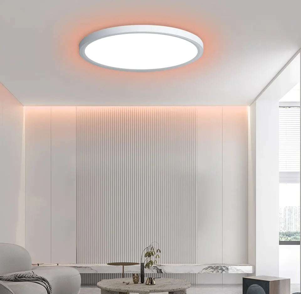 Voice Control Alexa Google Smart Ceiling Lamp