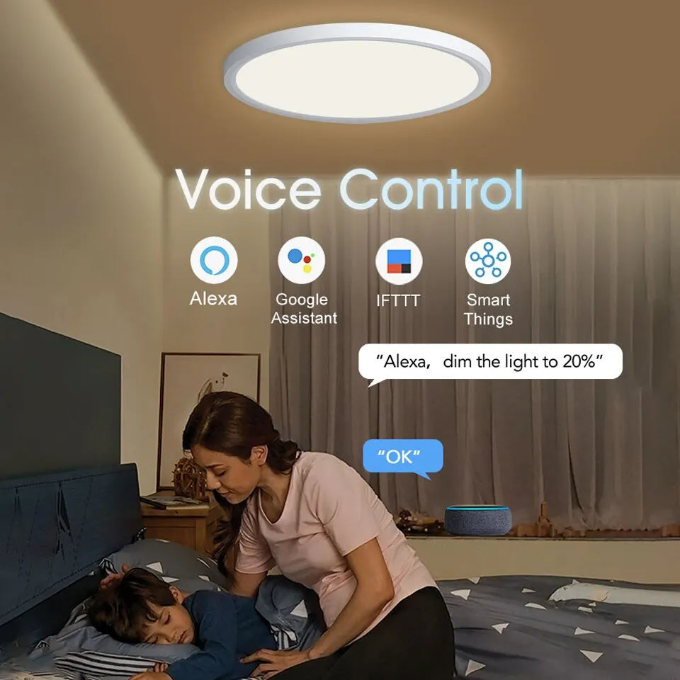 Voice Control Alexa Google Smart Ceiling Lamp