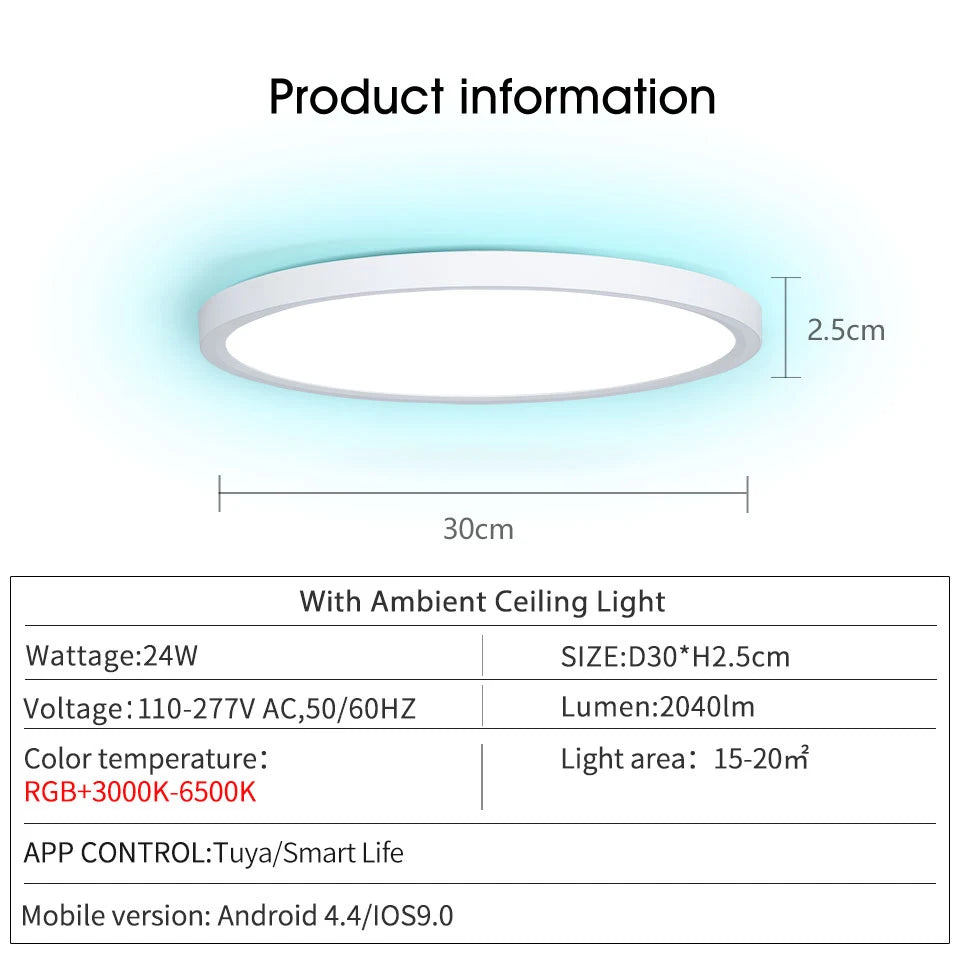 Voice Control Alexa Google Smart Ceiling Lamp