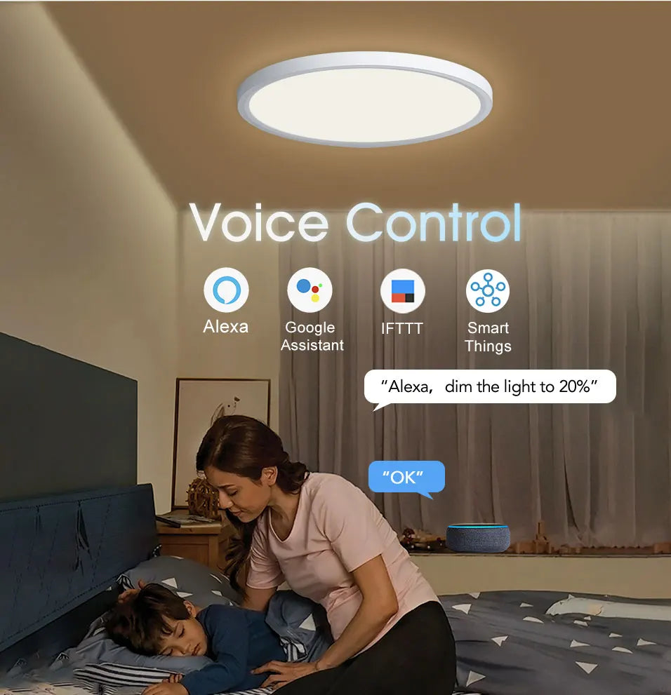 Voice Control Alexa Google Smart Ceiling Lamp