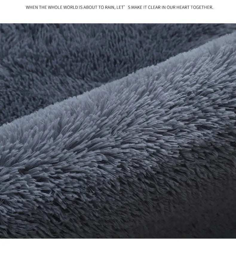 Gray Carpet for Living Room Plush Rug Bed Room Floor Fluffy Mats Anti-slip Home Decor Rugs Soft Velvet Carpets Kids Room Blanket